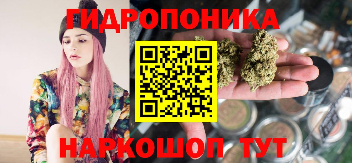 Каннабис план Бердск